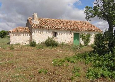 5090 - Finca rústica de caza menor