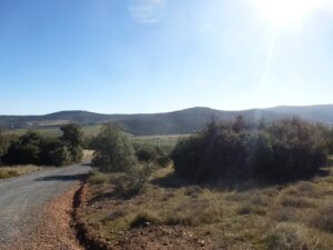 Camino entre siembras y barbechos. Al fondo la sierra