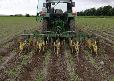 Tractor trabajando en la finca