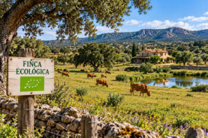 finca ecológica en explotación de ganado vacuno